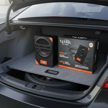 Subwoofer Activo 12 Pulgadas Tasbel 5000w Para Auto