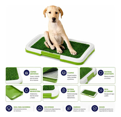 Baño Ecológico Para Perros Sanitario Lavable 3 Capas