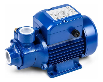 Bomba De Agua Periférica Qb60 0,5hp 370w 220v Monofásica