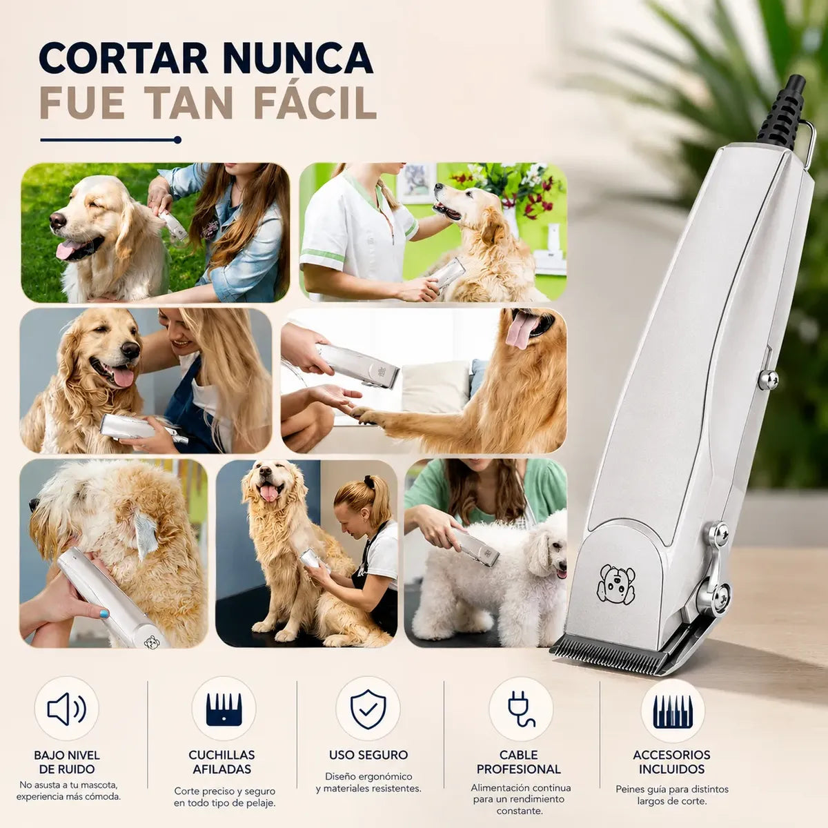 Máquina De Corte Pelos Perros Cortador 12w Con Peines Guía
