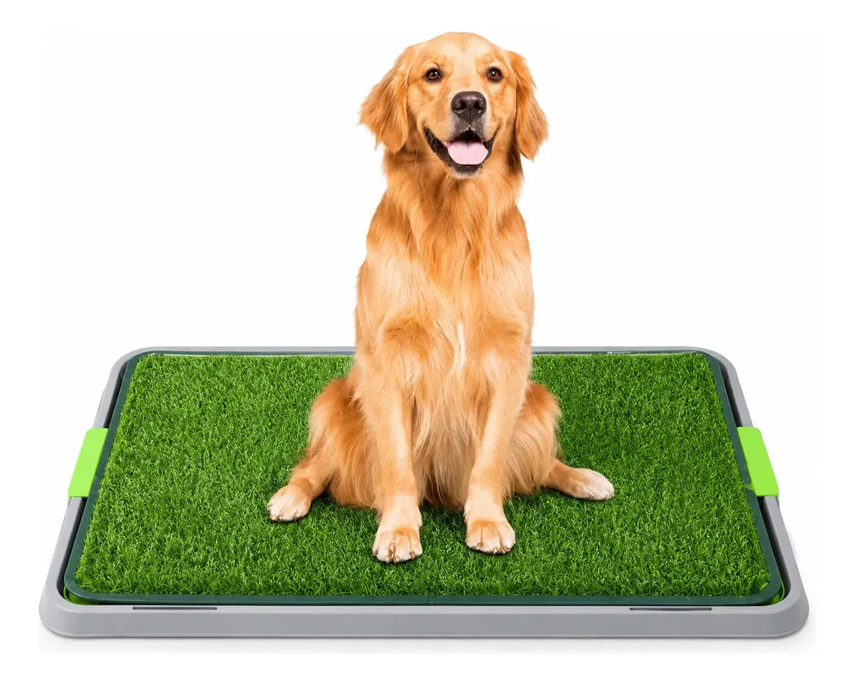 Baño Sanitario Perros Césped Sintético Lavable Reutilizabl